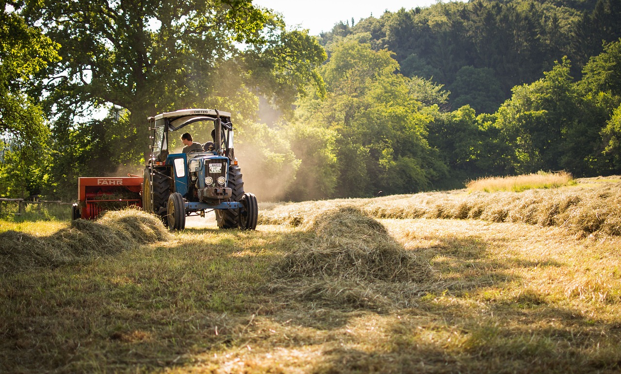 How to Start a Weekend Farmers’ Market in Your Community